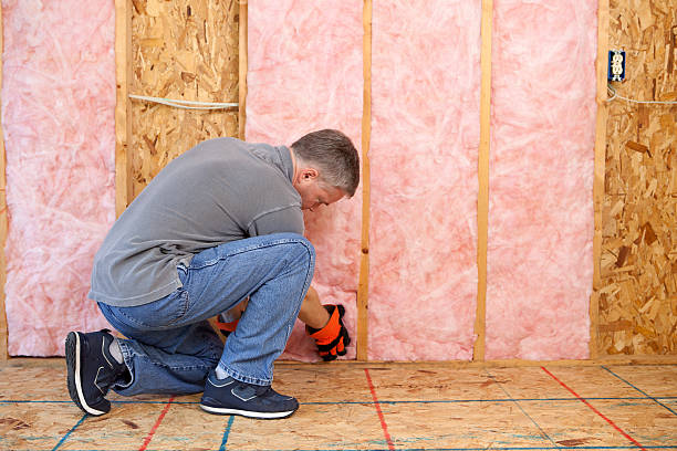 Best Insulation Replacement Services  in Crimora, VA