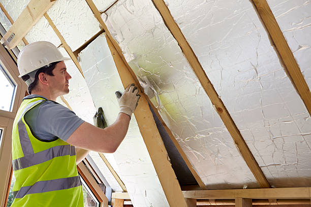 Best Insulation Inspection Services  in Crimora, VA